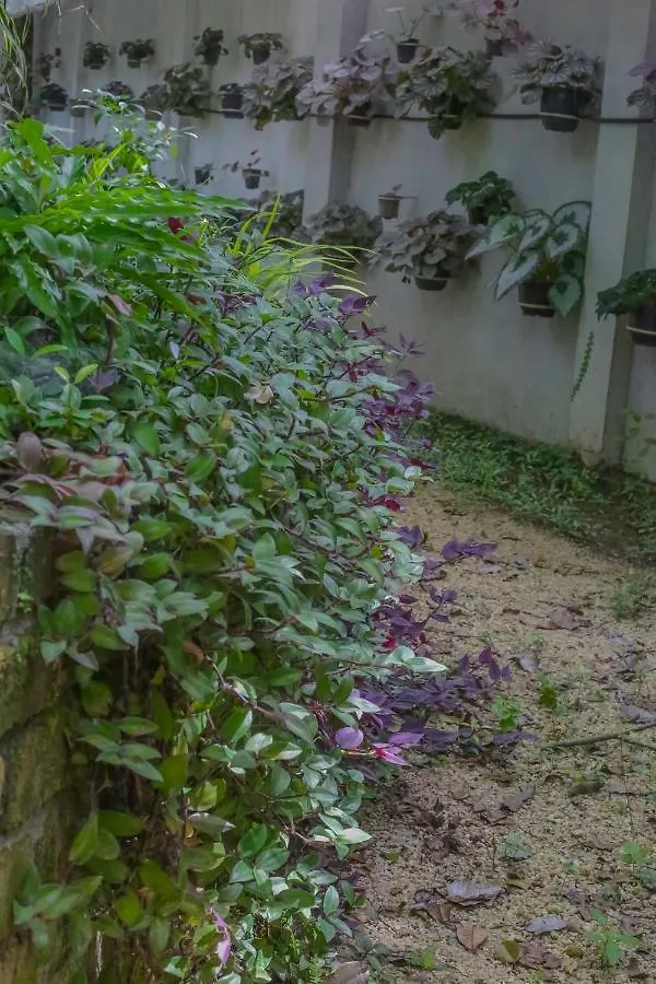 Ceylon Kingsmen Garden - Katunayake Airport Transit Hotels 尼甘布