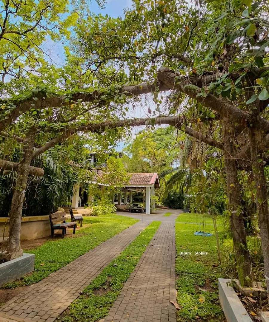 Ceylon Kingsmen Garden - Katunayake Airport Transit Hotels 尼甘布