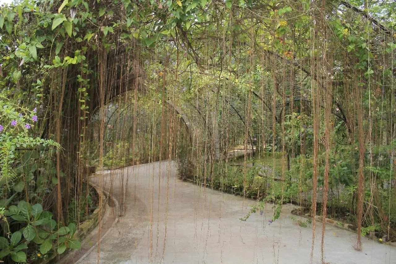 Ceylon Kingsmen Garden - Katunayake Airport Transit Hotels 尼甘布
