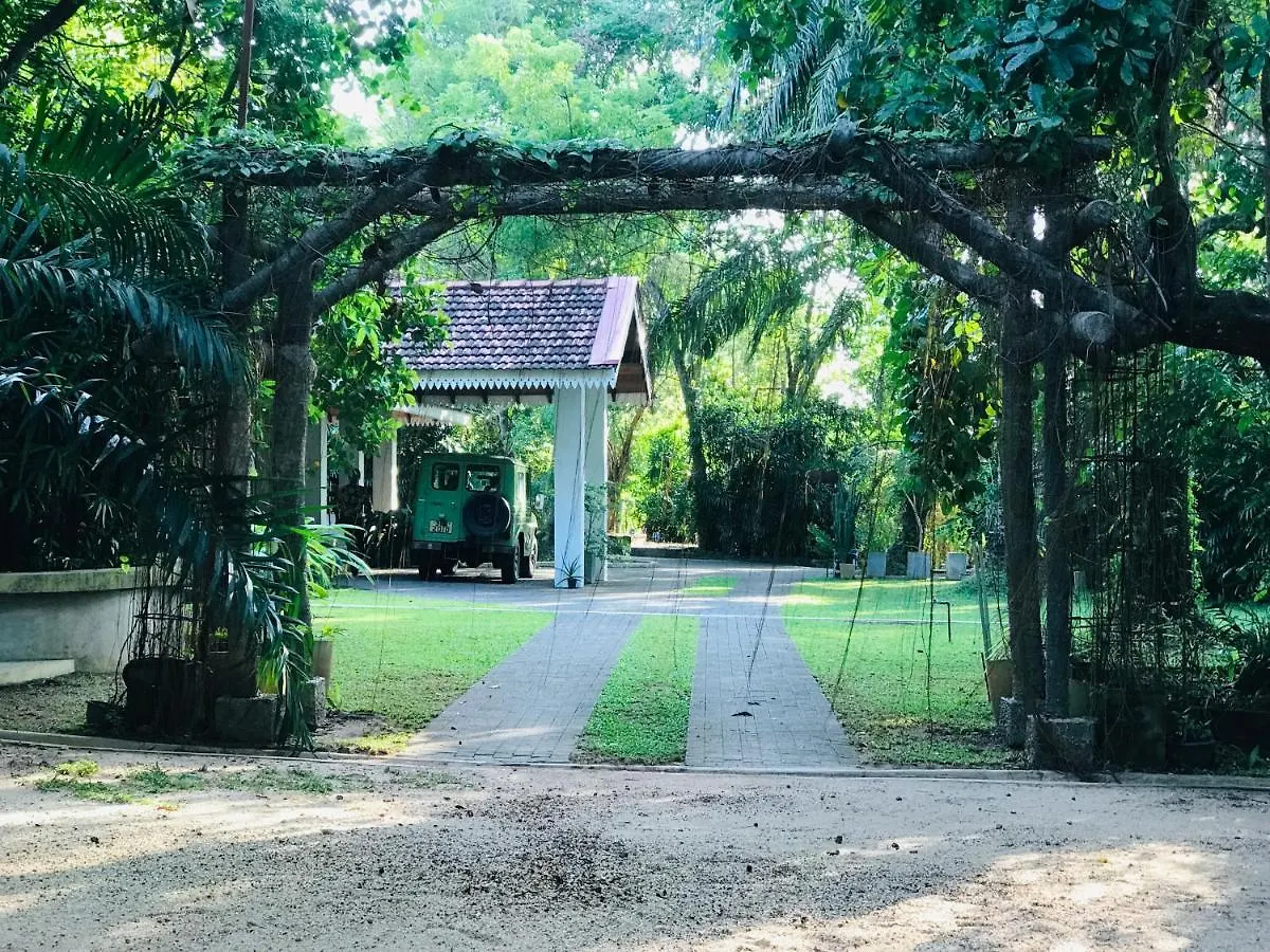 Ceylon Kingsmen Garden - Katunayake Airport Transit Hotels Negombo