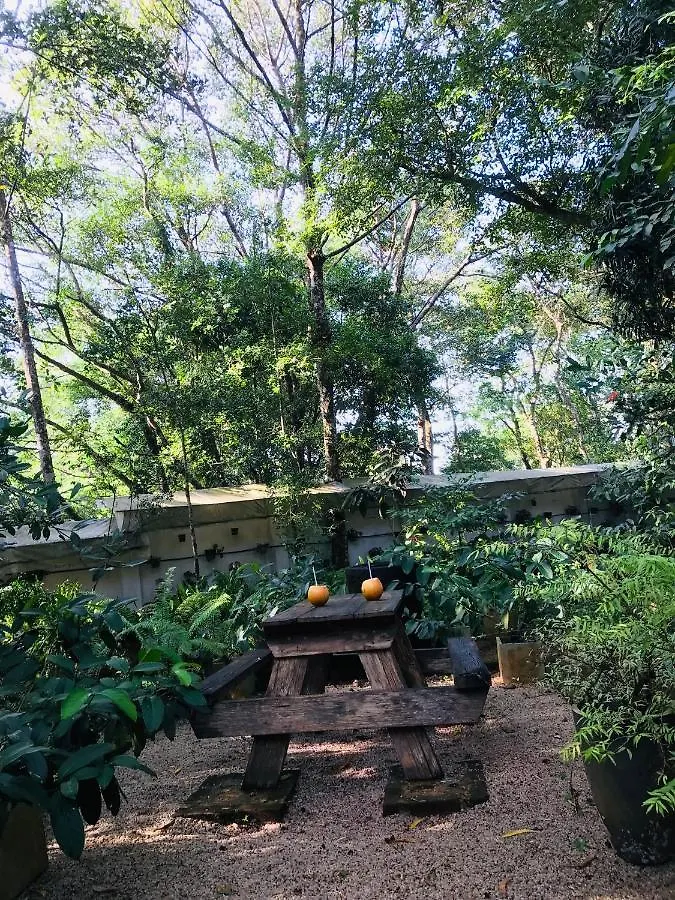 Ceylon Kingsmen Garden - Katunayake Airport Transit Hotels Negombo 0*,