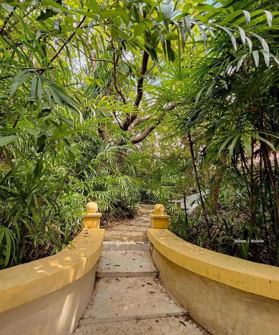 Ceylon Kingsmen Garden - Katunayake Airport Transit Hotels Negombo