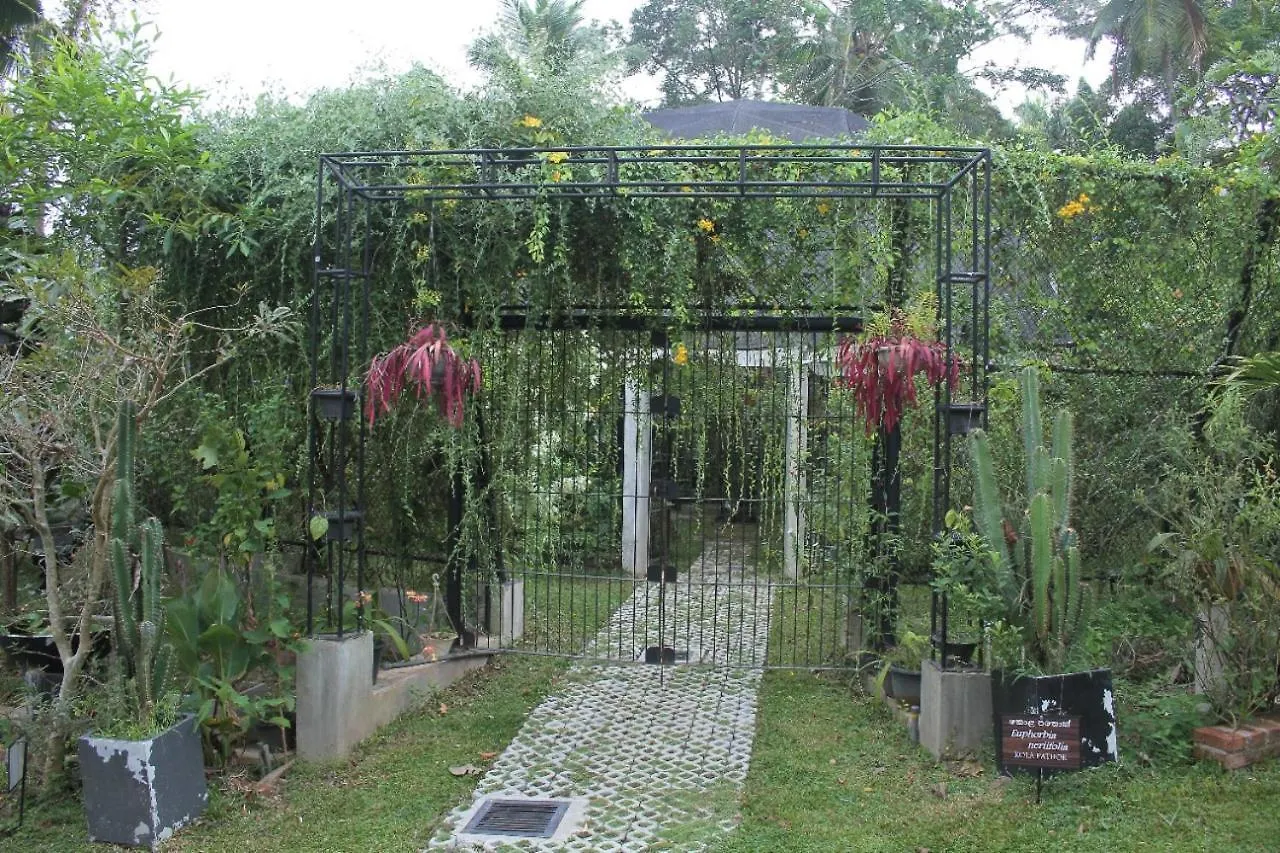 Ceylon Kingsmen Garden - Katunayake Airport Transit Hotels Negombo