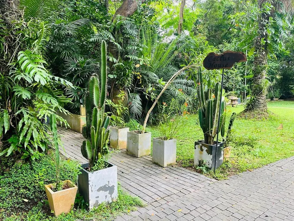 Ceylon Kingsmen Garden - Katunayake Airport Transit Hotels Negombo