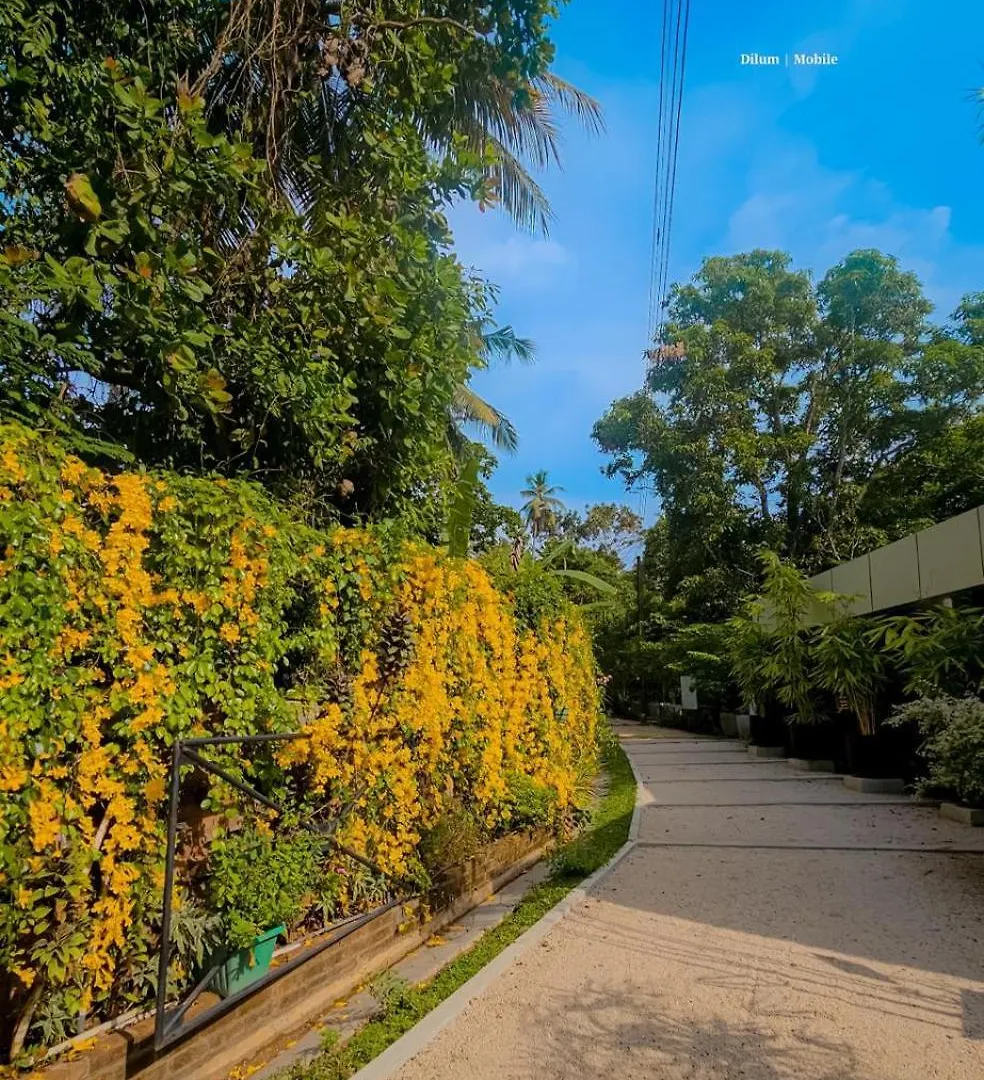 Ceylon Kingsmen Garden - Katunayake Airport Transit Hotels Negombo 0*,